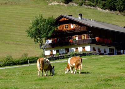 Bauernhof mit Kühen in Villgraten - Foto ZLOEBL